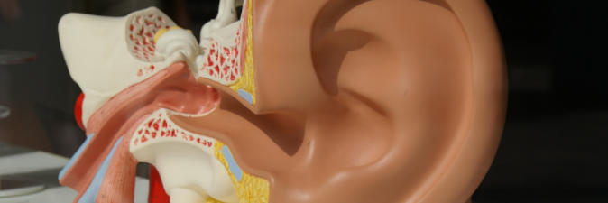 Evaluación Auditiva