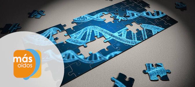 La pérdida auditiva aparece a cualquier edad